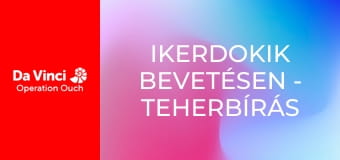 Ikerdokik bevetésen - Teherbírás és a porcok ereje Ikerdokik bevetésen - Teherbírás és a porcok ereje
