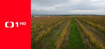 Kluci v akci - Představujeme vítězné regionální potraviny v Jihomoravském kraji