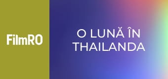 O lună în Thailanda
