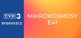 Mikrokosmosy E41