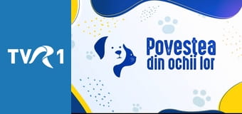 Povestea din ochii lor