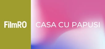 Casa cu Papusi