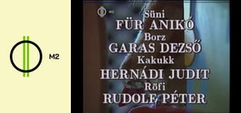 Süni és barátai - Meglepetés