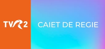 Caiet de regie