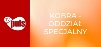 Kobra - oddział specjalny S17E7 - Zagubiona