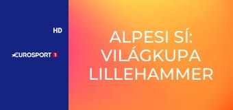 Alpesi sí: Világkupa Lillehammer férfiak - Műlesiklás 2. futam