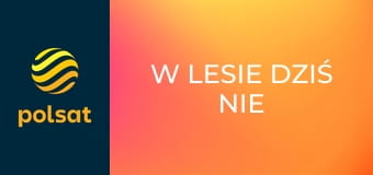 W lesie dziś nie zaśnie nikt 2