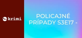 Policajné prípady S3E17 - Ostražitý priateľ, Pomstychtivý milenec, Bývalý zamestanec, Rozsypaný nákup