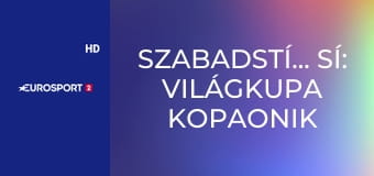 Szabadstílusú sí: Világkupa Kopaonik férfi és női verseny - Síkrossz