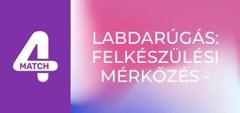 Labdarúgás: Felkészülési mérkőzés - Brazília – Horvátország