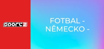 Fotbal - Německo - Ghana