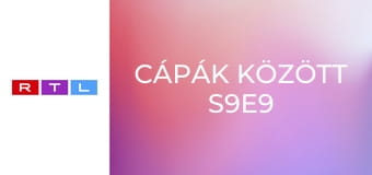 Cápák között S9E9