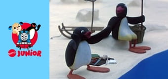 Pingu Sezonul 3 Episodul 10