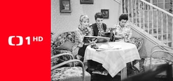 Taková normální rodinka E7 - Záletník