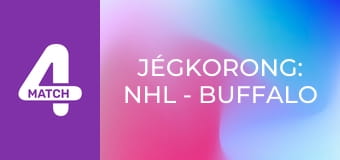 Jégkorong: NHL - Buffalo Sabres – Boston Bruins