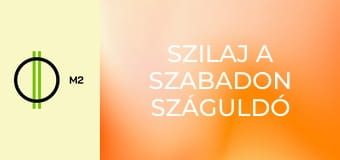 Szilaj a szabadon száguldó - Lucky és a vékony jég