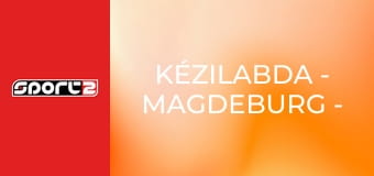 Kézilabda - Magdeburg - Füchse Berlin