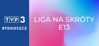 Liga na skróty E13