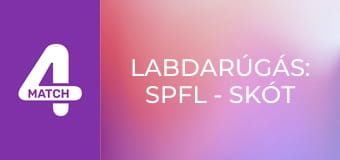 Labdarúgás: SPFL - Skót bajnokság - összefoglaló - 16. forduló