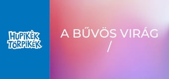 A bűvös virág / Apáknapi ajándék