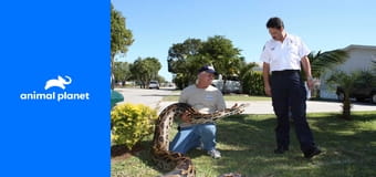 Veterinární policie: Filadelfie S12E1 - Půlnoční zátah Veterinární policie: Filadelfie S12E1 - Půlnoční zátah