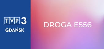Droga E556