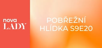 Pobřežní hlídka S9E20