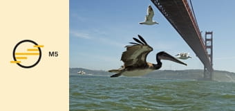 A világ madártávlatból - Skócia – A felföldtől a szigetekig