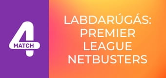 Labdarúgás: Premier League Netbusters