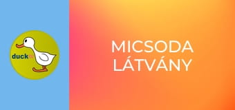 Micsoda látvány Micsoda látvány