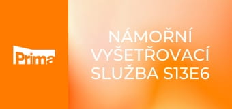 Námořní vyšetřovací služba S13E6 - Virál