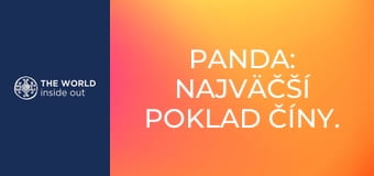 Panda: najväčší poklad Číny. Život v horskej dedine. Čína.