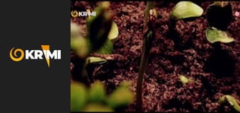 Prvé oddelenie E26 - Posledný tanec