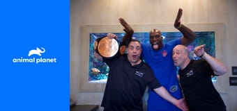 Akvária na míru S6E12 - Dračí DJ Akvária na míru S6E12 - Dračí DJ