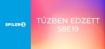 Tűzben edzett S8E19