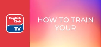 How to Train Your Dragon 2