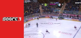 Lední hokej - Davos - ZSC Lions