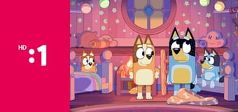 Bluey S3E12 - Ovčiačik