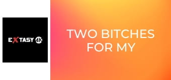 Two Bitches for My Cock 3
