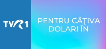 Pentru câţiva dolari în plus