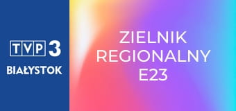 Zielnik regionalny E23