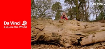 Do You Know? - Bird’S Nest and Bike Helmet