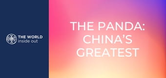 A panda: Kína legnagyobb kincse. Élet egy hegyi faluban. Kína.