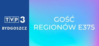 Gość regionów E375