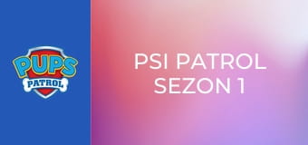 Psi Patrol Sezon 1 Odcinek 14