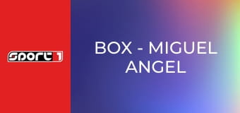 Box - Miguel Angel Cotto - Carlos Ramirez