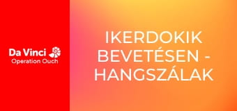 Ikerdokik bevetésen - Hangszálak és hullámvasút Ikerdokik bevetésen - Hangszálak és hullámvasút