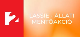 Lassie - Állati mentőakció