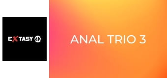 Anal Trio 3