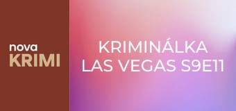 Kriminálka Las Vegas S9E11 - Temná šichta